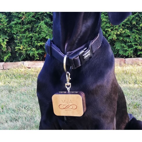 Ring Box Carried by a Dog | Wooden Personalized Wedding Box