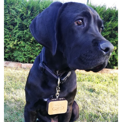 Ring Box Carried by a Dog | Wooden Personalized Wedding Box
