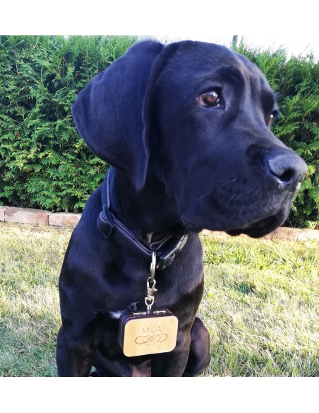 Ring Box Carried by a Dog | Wooden Personalized Wedding Box