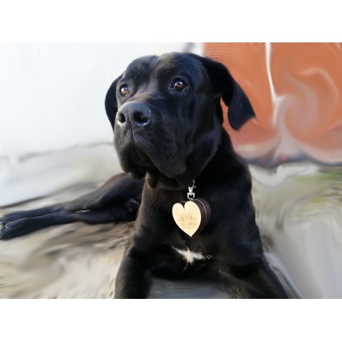 Dog Ring Box | Wooden Personalized Wedding Box
