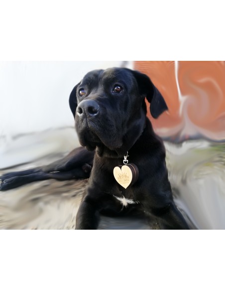 Dog Ring Box | Wooden Personalized Wedding Box