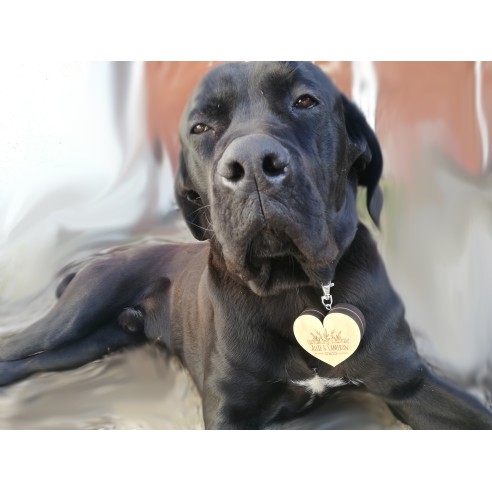 Dog Ring Box | Wooden Personalized Wedding Box