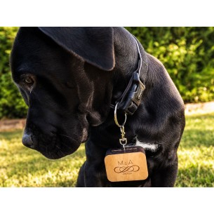 Ring Box Carried by a Dog | Wooden Personalized Wedding Box
